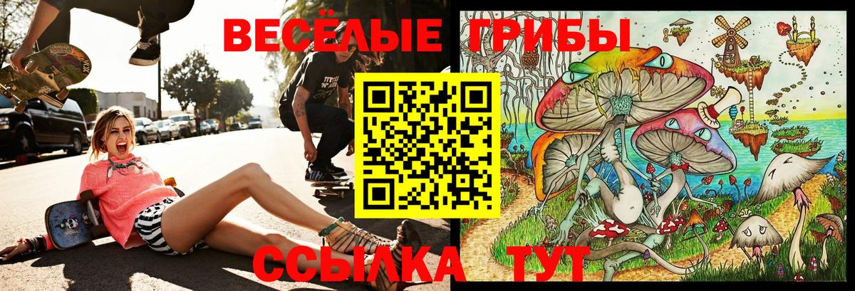 Псилоцибиновые грибы мицелий Камень-на-Оби