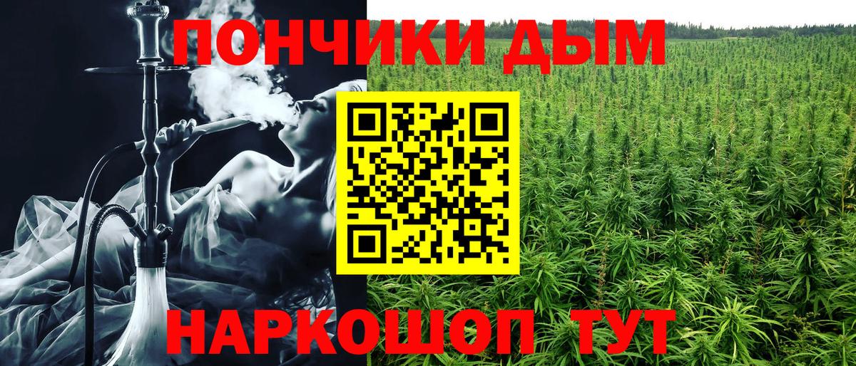 Шишки марихуана планчик  Бошки марихуана White Widow  Вход с VPN  МАРИХУАНА ГИДРОПОН  Камень-на-Оби 